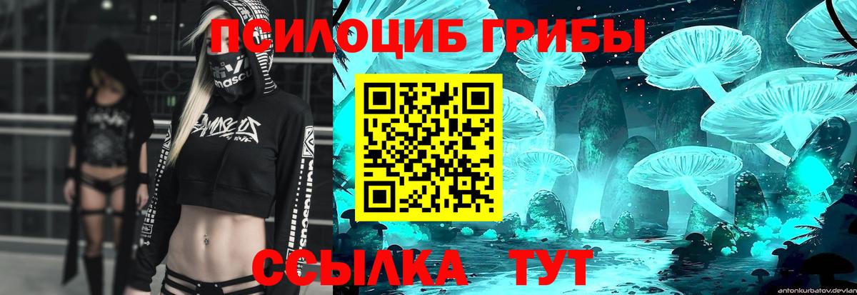 купить наркоту  Псилоцибиновые грибы прущие грибы  Вход с VPN  Кимовск 